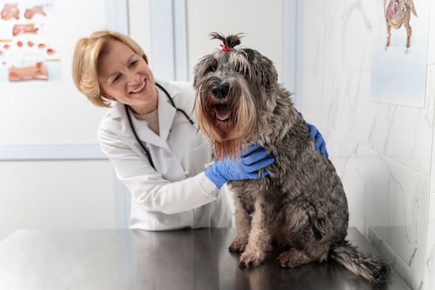 귀여운 강아지를 검사하는 미디엄 샷 의사