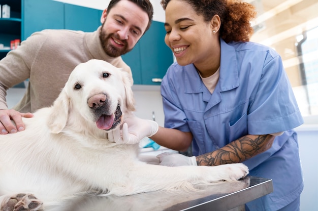 Medium shot doctor checking smiley dog