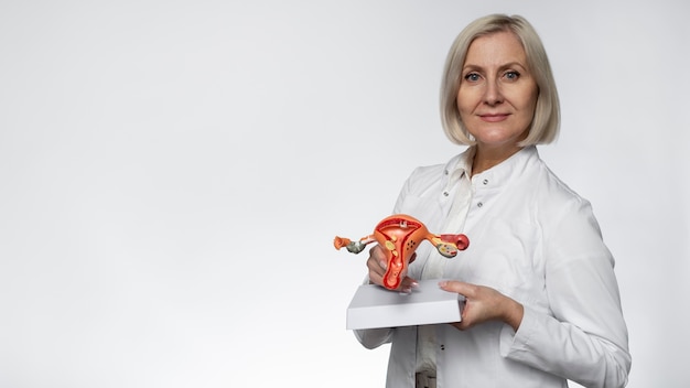 Medium shot doctor holding anatomic model