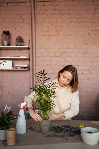 Medium shot florist with plant in pot