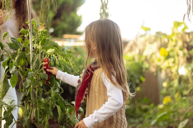 Medium shot girl holding pepper