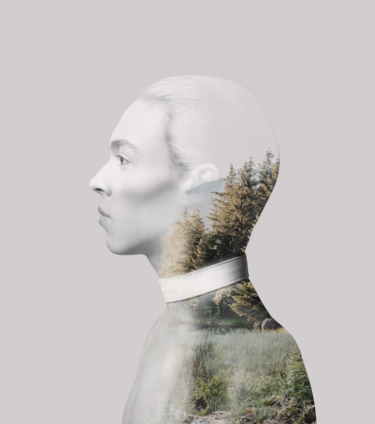 Free Photo medium shot human silhouette and nature