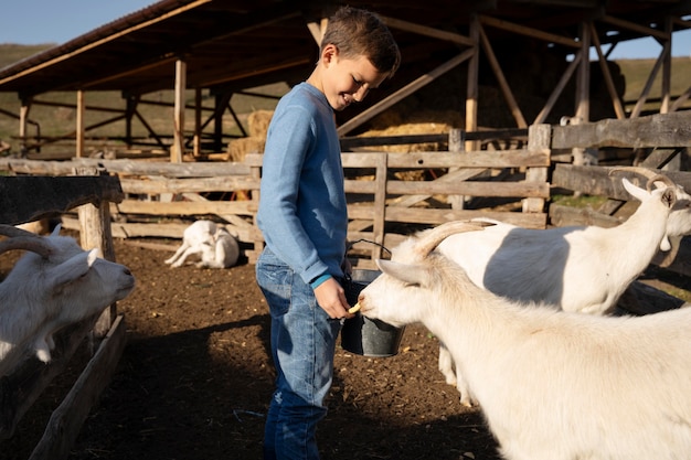 무료 사진 염소에게 먹이를 주는 미디엄 샷 아이