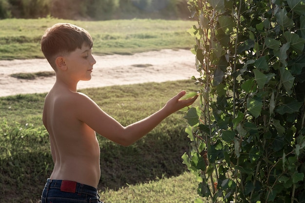 Medium shot kid holding leaf