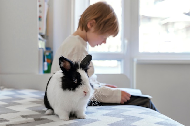 Free photo medium shot kid holding rabbit