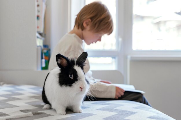 Medium shot kid holding rabbit