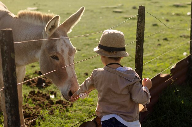 ミディアムショットの子供が馬をなでる