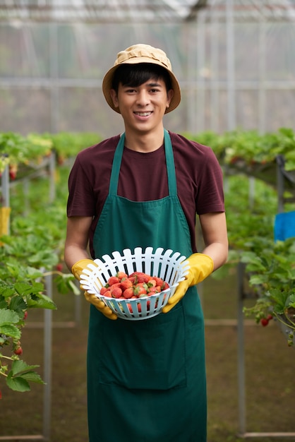 Medium shot of male farmer facing camera and holding a bowlfull of strawberries