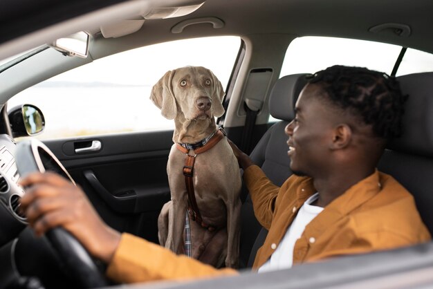 Medium shot man driving with dog