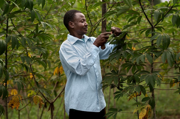 Бесплатное фото Средний выстрел мужчина заботится о листьях