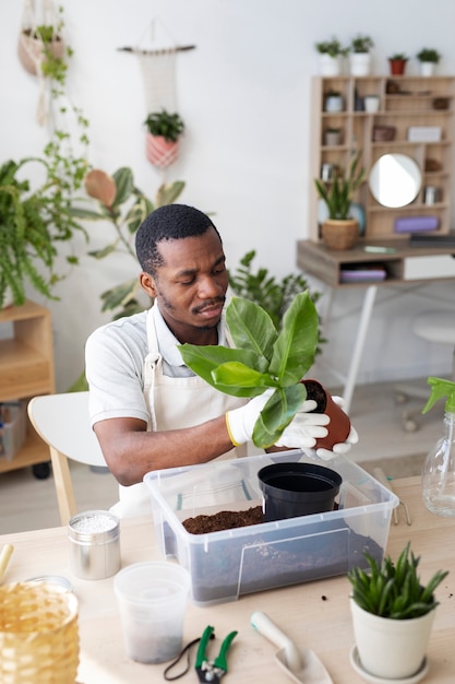 自宅でミディアムショットの男移植植物