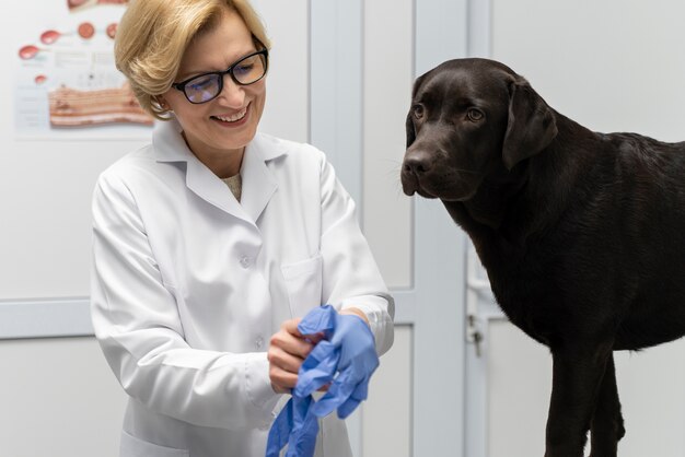 Смайлик-врач среднего роста смотрит на собаку