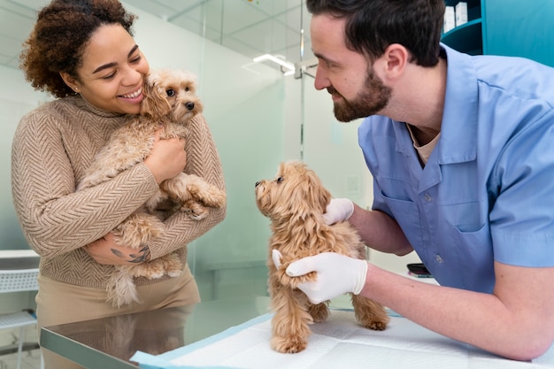 子犬とミディアムショットの笑顔の人々