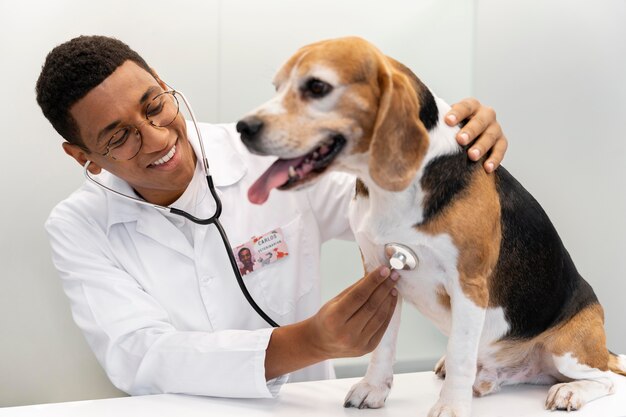 Ветеринар, проверяющий собаку среднего размера