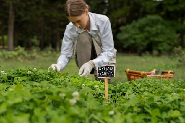 Medium shot woman checking plants