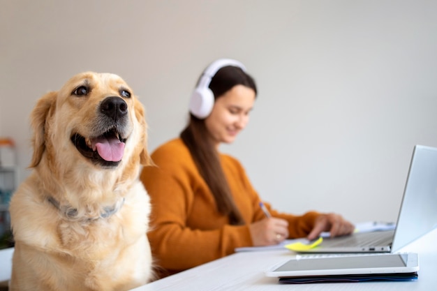 ミディアムショットの女性とかわいい犬