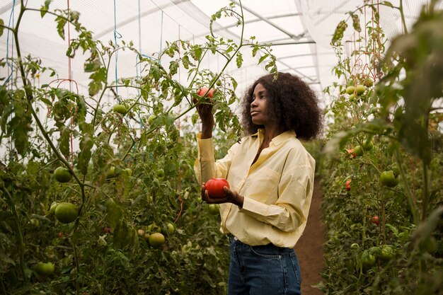 Medium shot woman holding vegetables