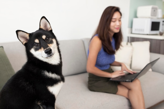 ソファに犬とミディアムショットの女性