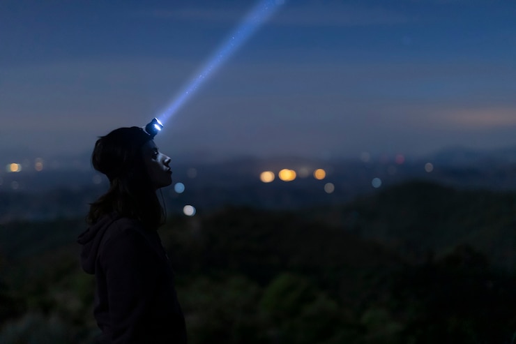 How to See the 2024 Perseid Meteor Shower in August