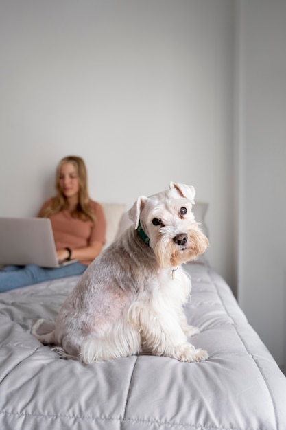 Medium shot woman with laptop and dog