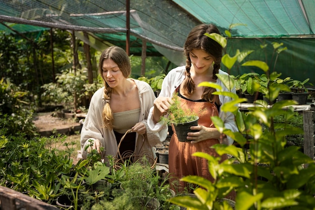 Medium shot women checking plants
