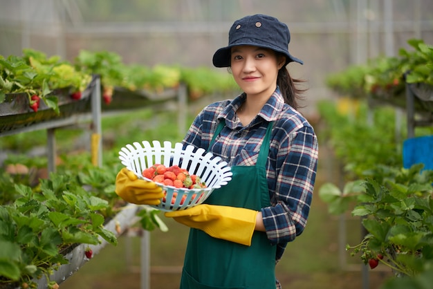 Medium shot of young Asian woman in farmer overall holding a basket of ripe strawberries 