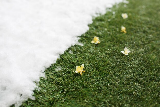 (Source : https://www.freepik.com/free-photo/meeting-white-snow-green-grass-with-flowers-close-up-winter-spring-concept-background_11315600.htm#query=lawn%20winter&position=3&from_view=search&track=ais&uuid=0127f4c1-d884-4229-9be3-6aa4b486bf05)