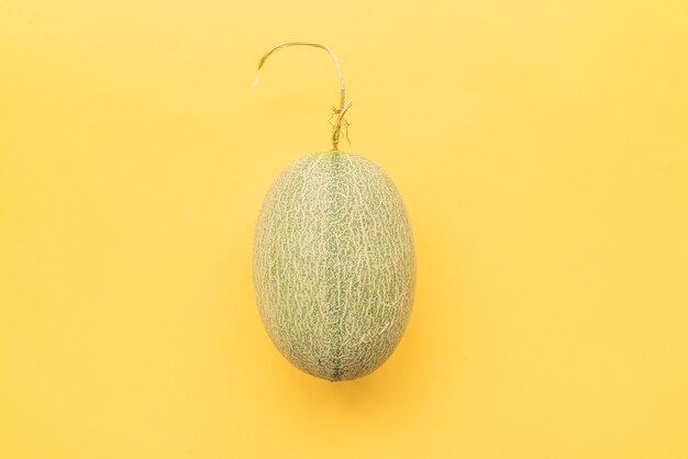 Melon on yellow background