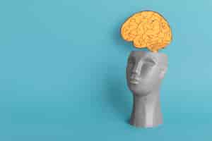 Free photo memory concept with sculpture and brain