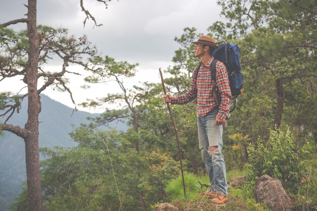 男性は、森のバックパックで熱帯林の山を見るために立ちます。冒険、旅行、登山。