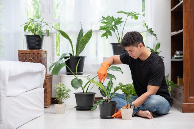 オレンジ色の手袋を着用し、屋内で木を植える男性。