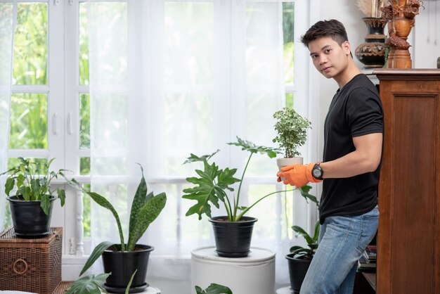 オレンジ色の手袋を着用し、屋内で木を植える男性。