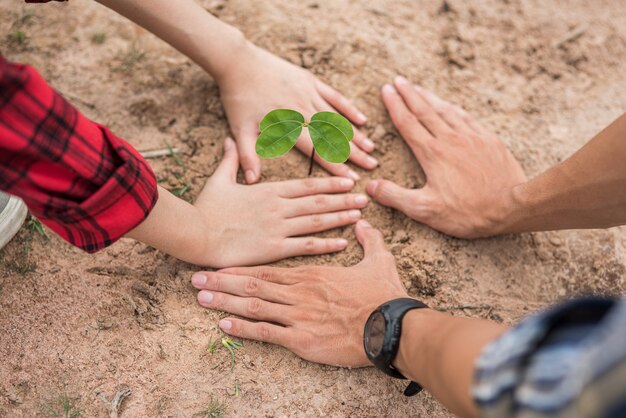 Men and women help grow trees.