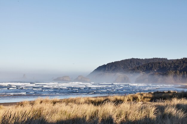 米国オレゴン州キャノンビーチでの海の波の魅惑的な風景