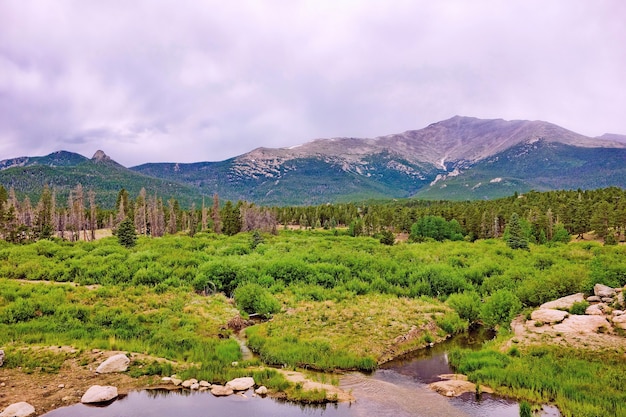 Mesmerizing shot of a beautiful forest surrounded by green mountains under a gloomy sky