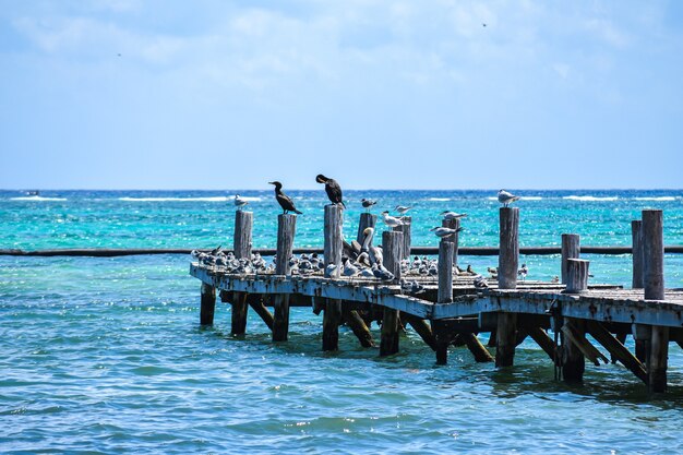 Mesmerizing shot of a beautiful seascape with a wooden pier