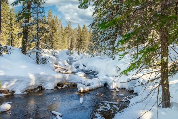 川の周りの美しい雪に覆われた岩の多い公園の魅惑的なショット