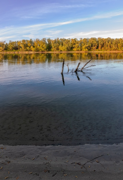 Mesmerizing shot of a calm lake surrounded by trees