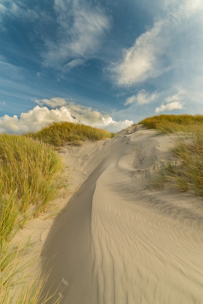 Mesmerizing shot of a peaceful beach under the blue sky