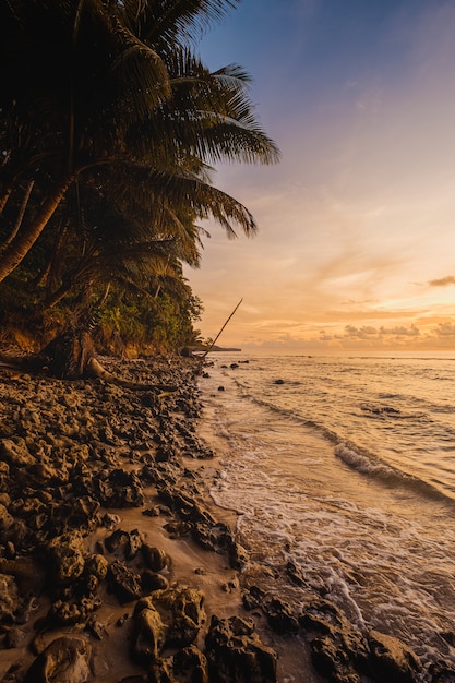 Foto gratuita vista affascinante dell'oceano calmo e degli alberi sulla riva durante il tramonto in indonesia