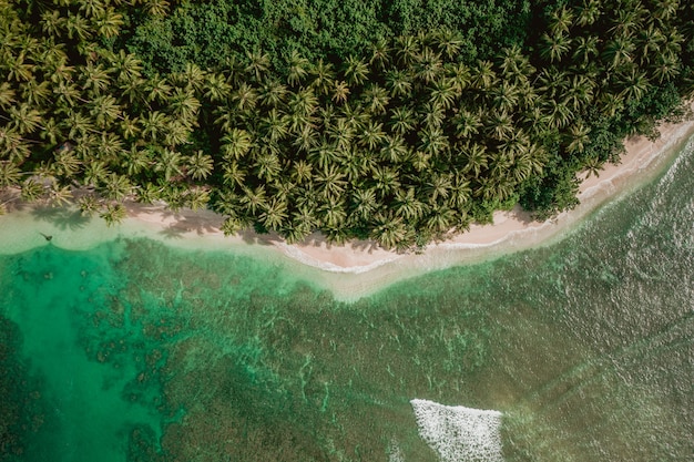 인도네시아의 하얀 모래와 청록색 맑은 물이있는 해안선의 매혹적인 전망