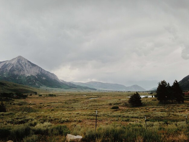 Mesmerizing view of the mountains and trees in the field on a cloudy day