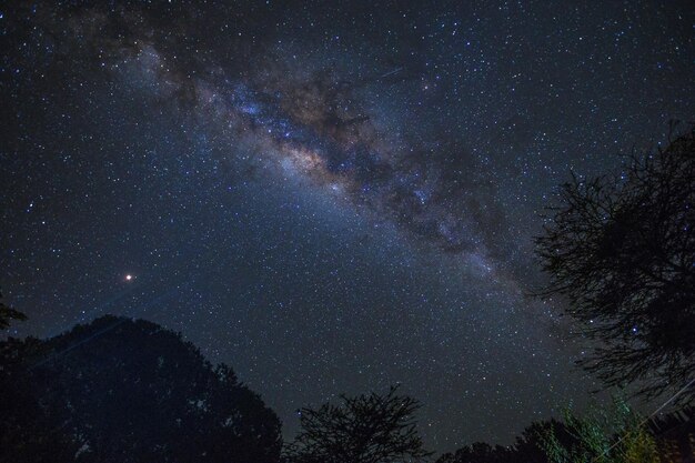 케냐 마사이 마라 사파리(Masai Mara Safari)에서 별이 가득한 밤하늘의 매혹적인 전망