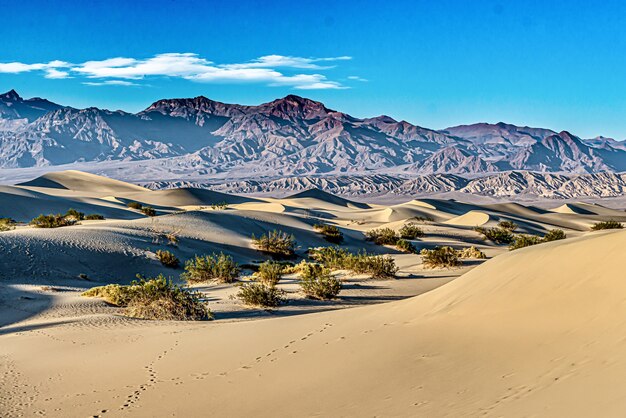 미국 캘리포니아 데스 밸리 국립 공원의 메스 키트 모래 언덕