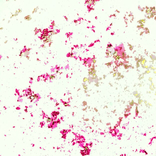 Messy textured holi powder on white background