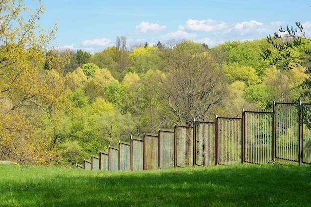 Металлический забор в саду с деревьями в стене