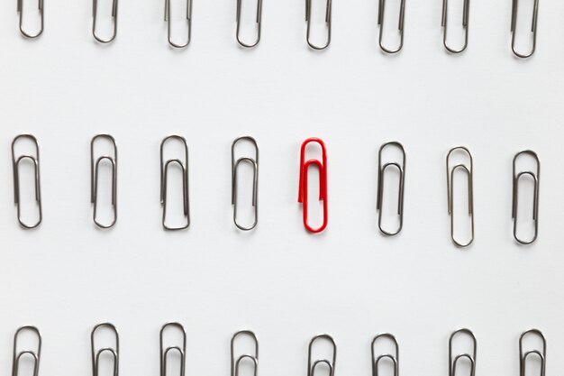 Metal paperclips in rows, one red different from the others