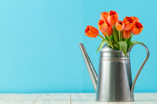 Metal watering can with tulips