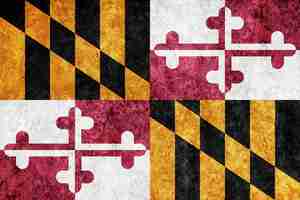 Free photo metallic maryland state flag, maryland flag background metallic texture