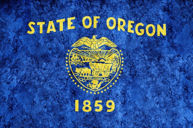 Metallic Oregon state flag, Oregon flag background Metallic texture